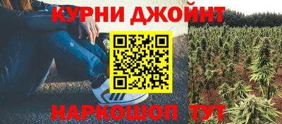 мдпв Рузаевка