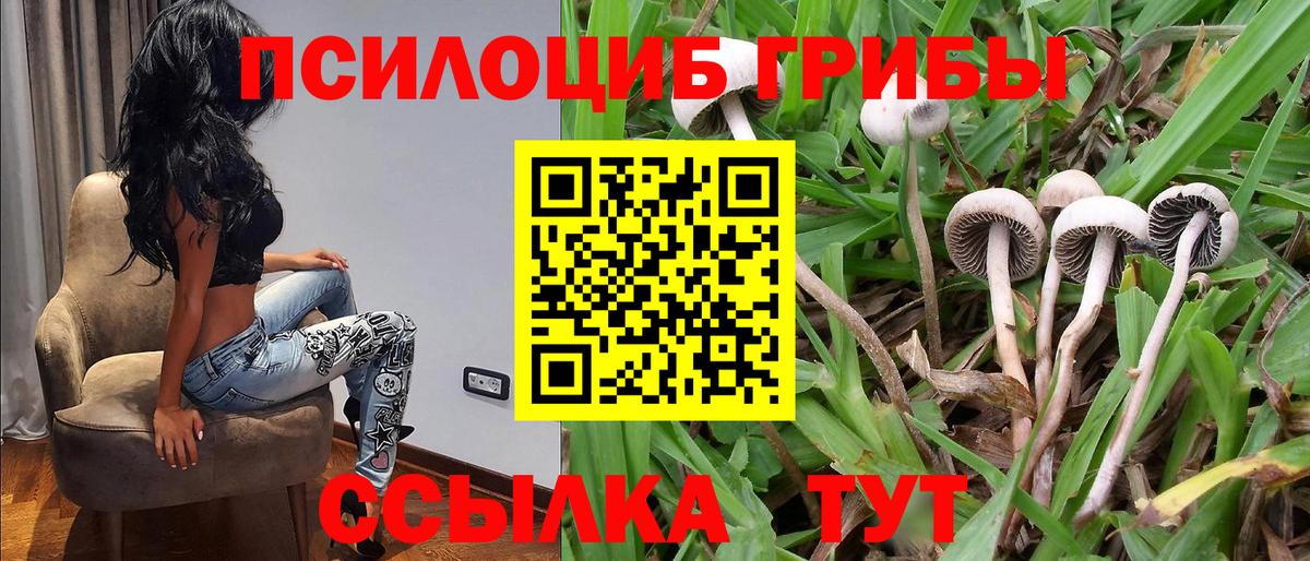 Галлюциногенные грибы ЛСД Рассказово